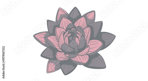 Pink and Grey Succulent Plant Illustration.