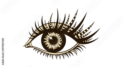 Detailed Illustration of Human Eye with Eyelashes.