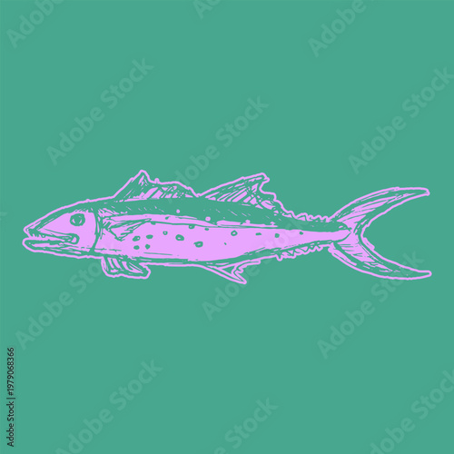 Handdrawn Carolina saltwater fish Doodle Illustration Fresh Sketch Style