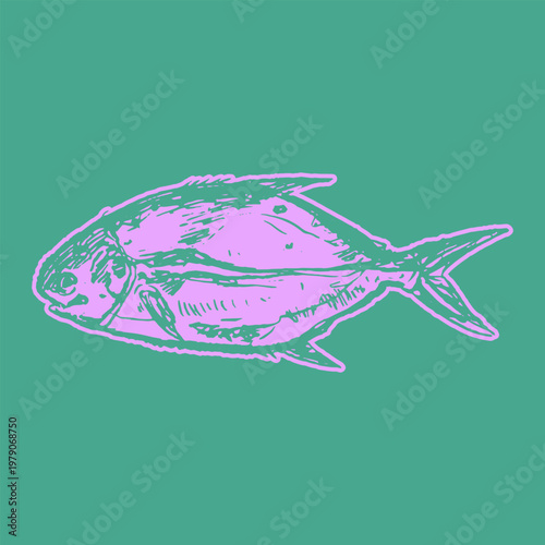 Handdrawn Carolina saltwater fish Doodle Illustration Fresh Sketch Style