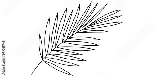A simple black and white line art illustration of a single tropical palm leaf on white background