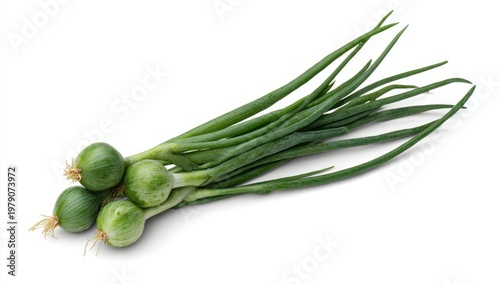 Fresh green spring onions with bulbs and long slender stalks on white