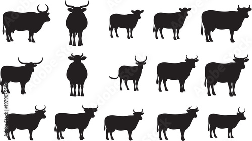 Collection of black cow silhouettes in various poses and sizes