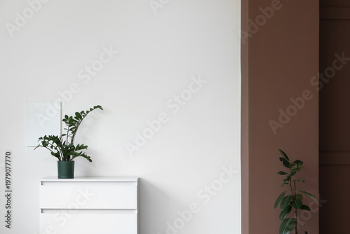 Commode with plants near wh...