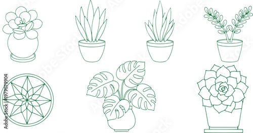 A collection of potted plants and a mandala.