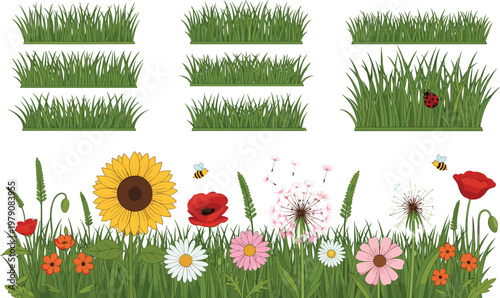 Set of green grass borders and wild meadow flowers, isolated vector floral illustrations, sunflower and poppy garden graphic design elements.