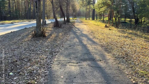 Sunny forest walking trail along a quiet road, picturesque forest path with long shadows in the tranquil landscape of a spring park