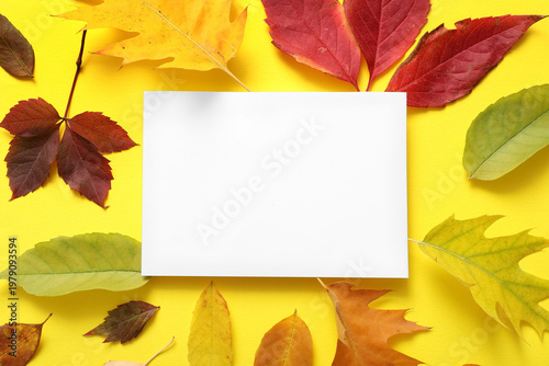 Beautiful autumn compositio...