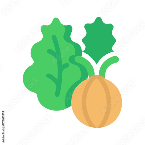 Minimalist illustration of organic turnip and green leaf on a dark background