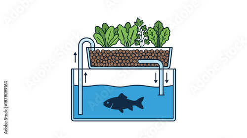 Fish in aquarium with plants on top.