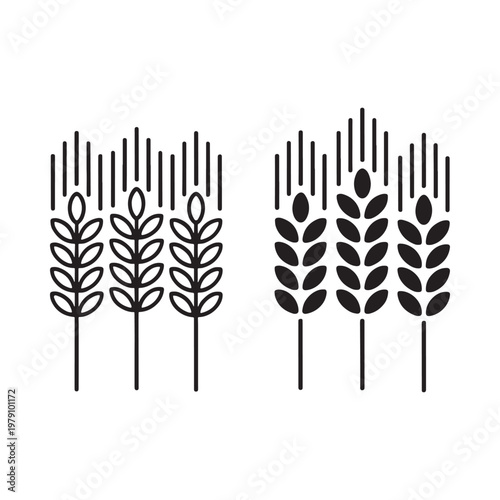 Stylized illustration of wheat stalks showcasing different grain head designs