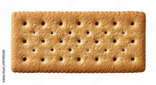 Rectangular baked cracker with rows of perforations and a light golden-brown color