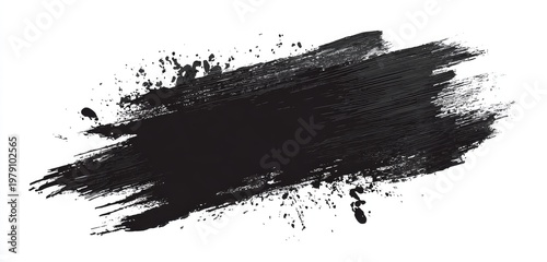 A dark, textured black smear on a white backdrop, with paint-splatter details