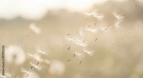 Red abstract gradient background with wavy curves