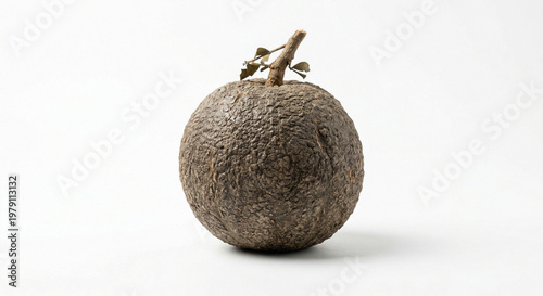 Indian food plate with naan bread and three side dishes