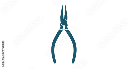 Pair of Needle Nose Pliers Tool.