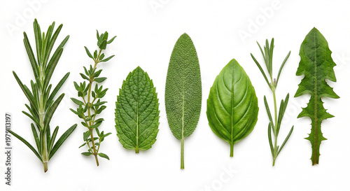 Crumpled white paper texture background