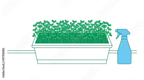 Green plants in a white planter.