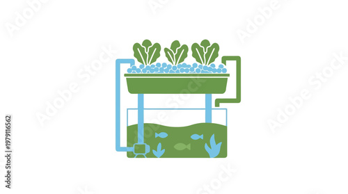 Hydroponic System with Green Plants Growing.
