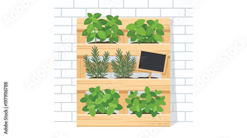 Lettuce Growing in a Planter Box.