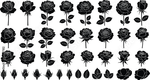 Extensive collection of rose silhouettes with stems, leaves and buds, floral vector set for romantic design, botanical illustration, and decoration