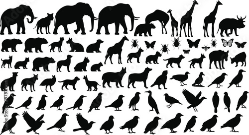 Large collection of animal silhouettes including mammals, birds and insects, wildlife vector set for nature design, education, and biodiversity illustration