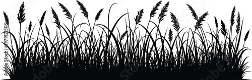 Wild grass border silhouettes featuring dense meadow blades and reeds, black isolated vector illustration for nature, landscape and decorative design projects