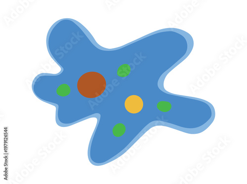 Amoeba Protozoa Illustration
