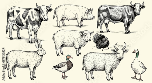 牧場で飼育される牛や豚、羊、ウサギ、七面鳥、アヒルなどの様々な家畜を、繊細なタッチのヴィンテージ風エッチングやペン画スタイルで描いた、農業やカントリーライフを象徴する高品質な手書きイラストレーションのコレクション素材。