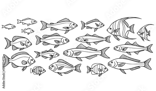 Elegant School of Fish Vector Illustration for Designers and Educators