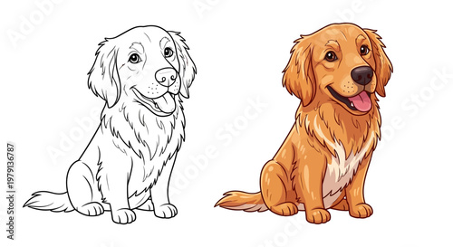Golden Retriever Dog, Sitting, Happy, Outline and Colored Version