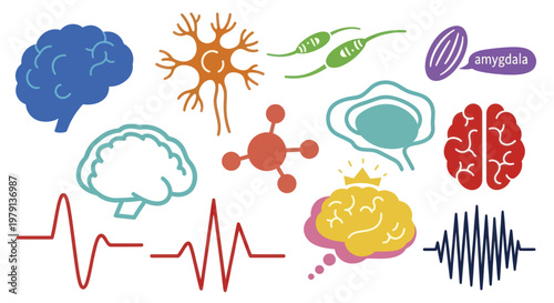 Collection of Brain and Neuroscience Related Icons and Illustrations.