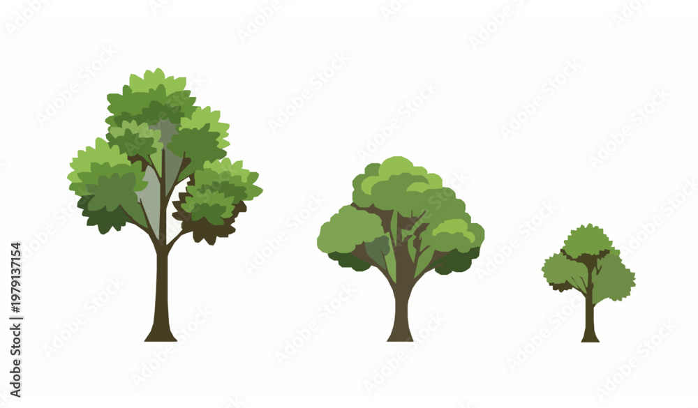 Fototapeta premium Four Green Trees Row Illustration with Different Sizes Natural Plant Landscape Vector Design