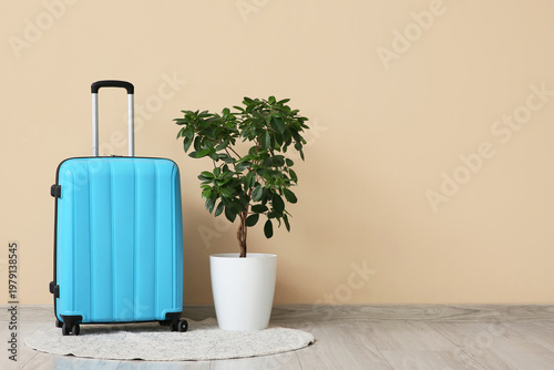 Houseplant and packed suitc...
