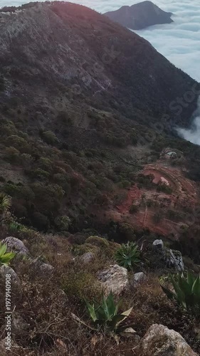 Sunrise at  Four Sticks Lookout in Mexico