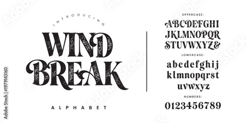 Wind Break vintage decorative serif font with classic swash for elegant logo and branding design
