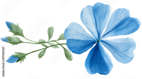 A blue flower with green leaves