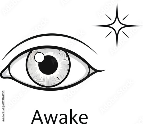 An eye illustration showing awake expression with sparkle and details inside