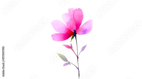 A pink flower with a stem