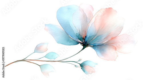 A watercolor painting of a flower with blue and pink petals