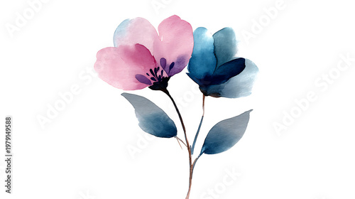 A watercolor painting of a flower with pink and blue petals