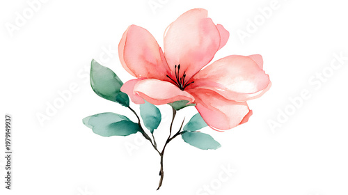 A pink flower with green leaves