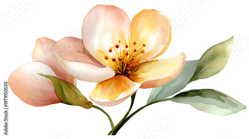 A watercolor painting of a flower with a green leaf