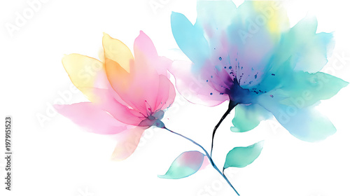 Two flowers with different colors are painted on a white background