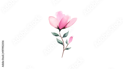 A pink flower with green leaves