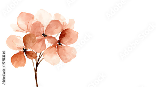 A watercolor painting of a flower with a white background