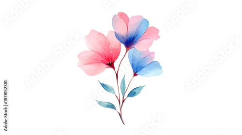 A flower with pink and blue petals