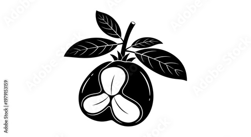 A simple black and white illustration of a fruit with three segments and leaves.