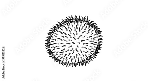 A black and white image of a spiky circular object, possibly a seed or a virus.