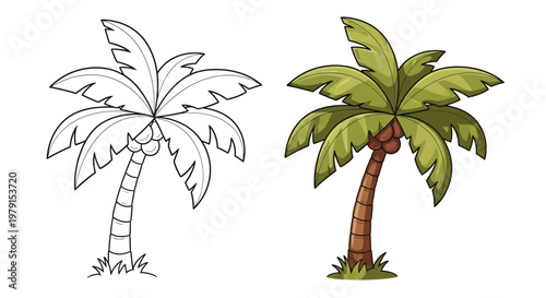 Palm Tree Outline and Colored Illustration - Tropical Vector Art